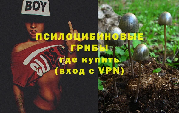 мескалин Балахна