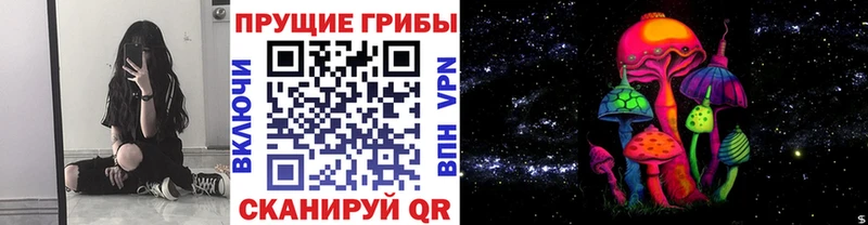 omg как войти  купить наркотики сайты  Ясный  Псилоцибиновые грибы ЛСД 